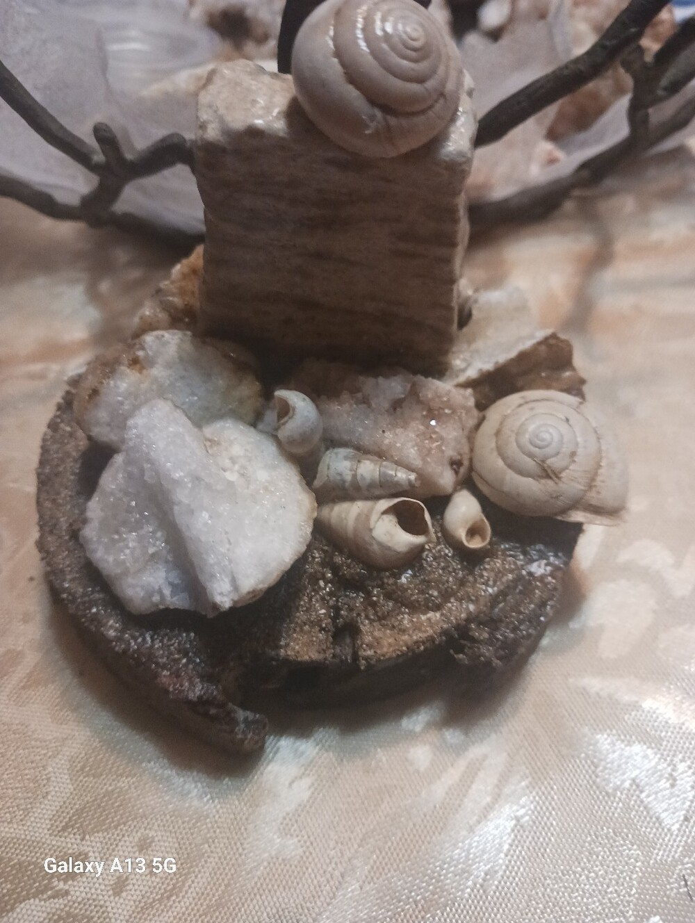 Decorative Neutral Beige Shell & Quartz - size of A Drink Coaster